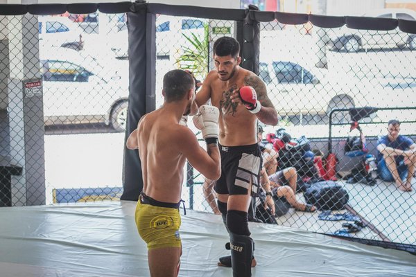 Comment équilibrer vie professionnelle et passion pour le basket durant la saison de basket