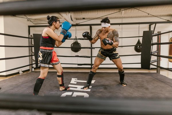 Équipement chien de chasse : conseils pour un choix optimal